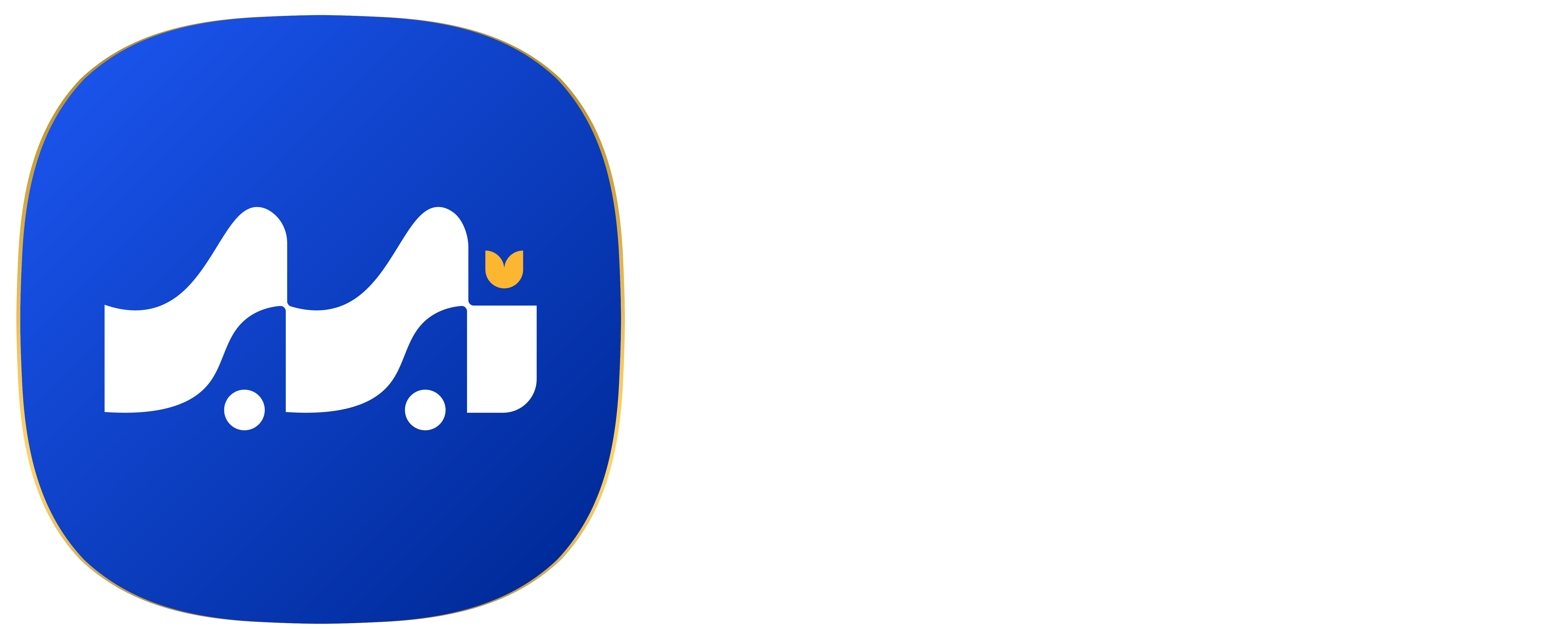 DMUDI